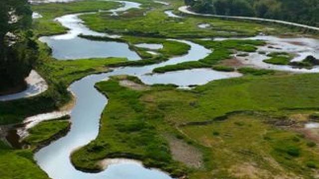 广州深圳打工人听劝！周末1.5h逃离城市，这片免费露营地我能躺一整天！
再也不用人挤人！惠州这个小众