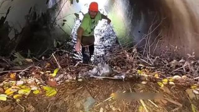 我发布了一个新视频，快来围观吧！