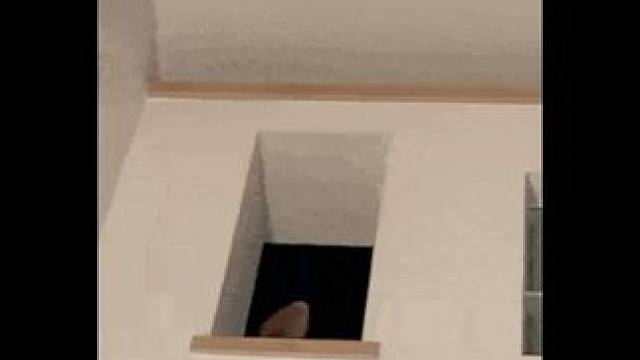 我们小说妹被武汉的樱花养得很好 #用小说世界打开武汉樱花