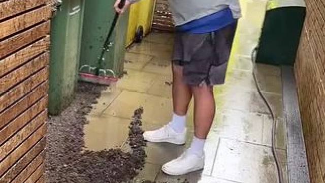 欧洲庭院清洁，解压又高薪！#庭院清理 #极度舒适 #深度清洁 #干干净净 #极度解压