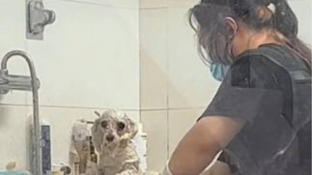 洗澡前：嘻嘻洗澡时：不嘻嘻