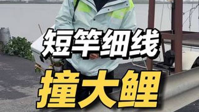 陡降三十度的天气，短竿细线钓闸口，是否还能有好的收获！