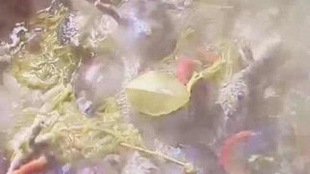 我发布了一个新视频，快来围观吧！