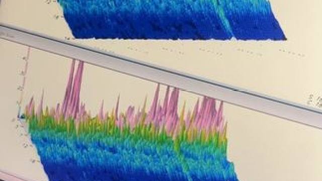 今天又打开了新世界大门～原来大脑真的不会骗人啊，全部说对了#不可思议 #要长脑子了 #颠覆你的认知 