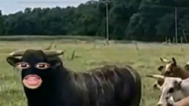 牛牛：逆天匹配机制#搞笑 #看一遍笑一遍 #万万想不到