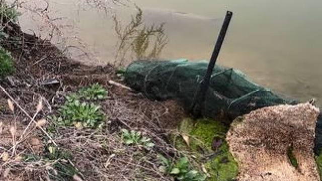 用这个能拍4它不？#钓鱼的乐趣只有钓鱼人懂 #爱生活爱钓鱼