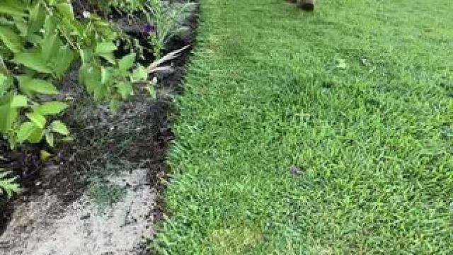 我发布了一个新视频，快来围观吧！