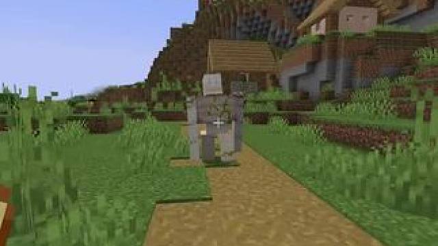 #我的世界 #Minecraft