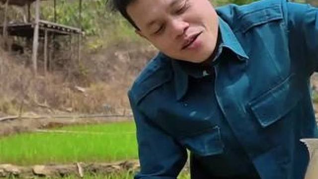 越南吃新鲜见抓现捞鱼生 #东南亚美食 #舌尖上的味道 #把家乡的味道分享给大家 #内容启发搜索 #乡