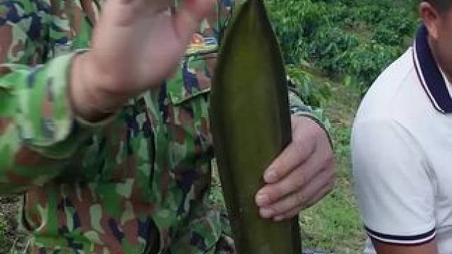 越南安叔来了 #把家乡的味道分享给大家 #舌尖上的味道 #爱生活爱美食 #治愈系乡村美食 #我的农村