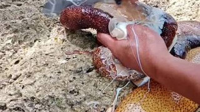 我发布了一个新视频，快来围观吧！