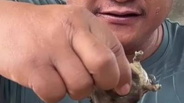 泰国林蛙 #东南亚美食 #把家乡的味道分享给大家 #舌尖上的味道 #爱生活爱美食