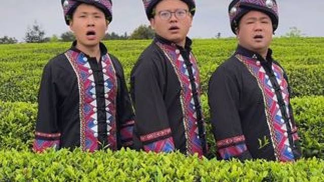 巴适得板 #川哥川嫂 #春茶