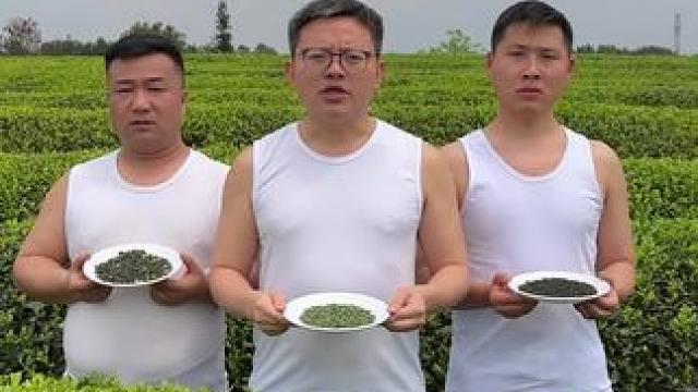 喝茶啦（6岁以下不要喝） #明前茶