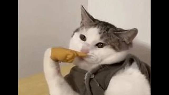 被兔女郎变装硬控了！#上DNF把兔女郎带回家  #领取你的兔兔女友挑战   #DNF  #地下城与勇