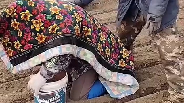 能遮风挡风寒，太不容易了