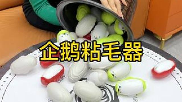 神奇的粘毛器 神奇的粘毛器!不仅能轻松清理头发和猫猫狗狗掉落的毛发，水一冲就干净能继续用了 #粘毛神