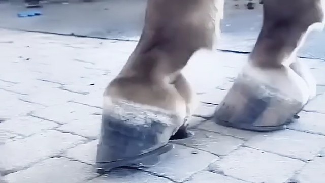 去掉石头感到很解压