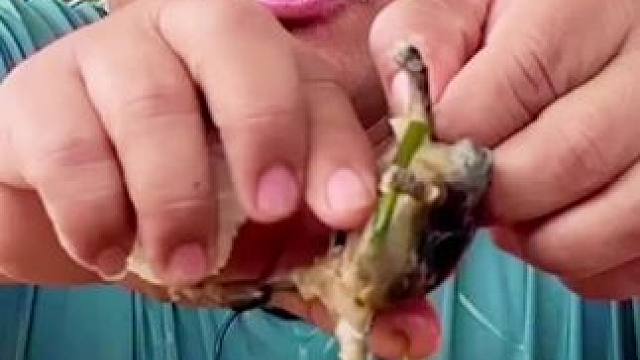 我发布了一个新视频，快来围观吧！