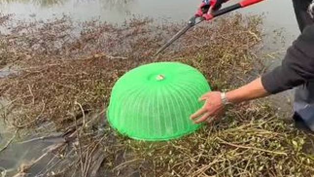 这草洞钓鱼怎么样#钓鱼 #钓鱼人的天堂 #钓鱼人就是这么疯狂 #钓鱼的乐趣只有钓鱼人懂 #钓鱼人