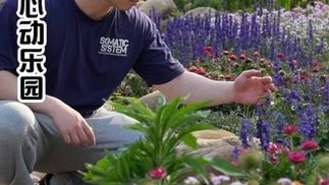 如果春天有形状～那一定是盈香心动乐园赏花季的模样#盈香心动乐园 #我在南方过春天 #佛山旅游攻略  