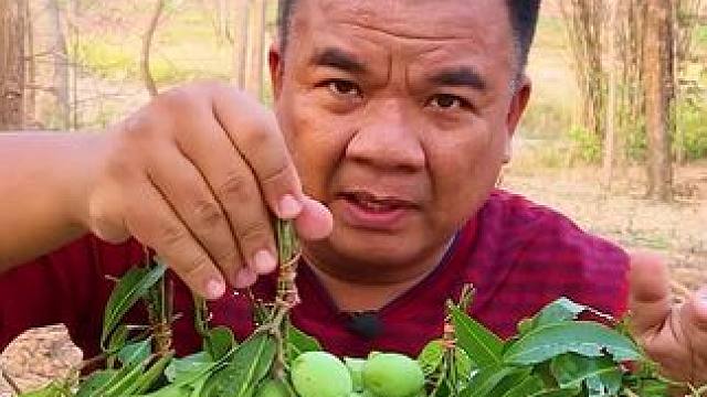 泰国酸野芒果 #快来一起尝个鲜 #舌尖上的味道 #舌尖上的美食 #泰国美食