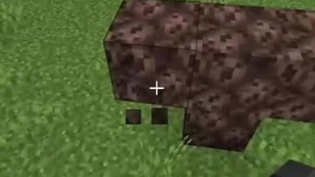 #我的世界 #Minecraft