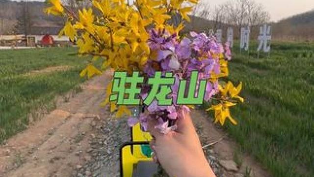 春日已至，风光正好！快来参加遛遛山谷露营大会，拥抱大自然。#春暖花开奔你而来 #一起去春游 #踏春赏