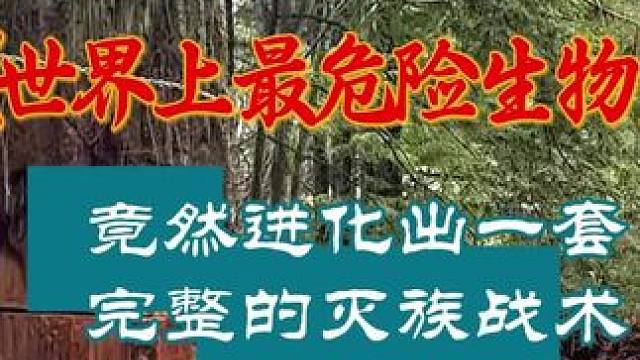 世界上最危险的生物 竟然进化出一套完整的灭族战术#世界之最 #万万没想到#离谱#震惊 #美国
