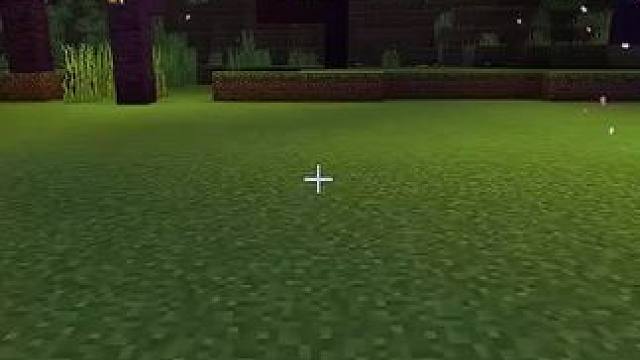 #我的世界 #Minecraft