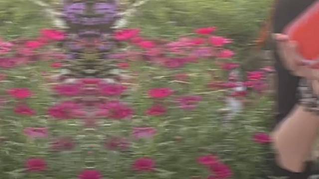 如果没有方向.往哪里走都是方向