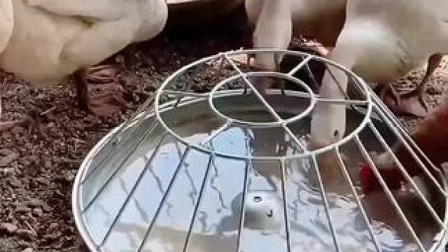 我发布了一个新视频，快来围观吧！