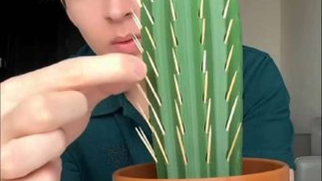 不同寻常的植物#不可思议 #创意发明 #有趣 #绿植 #脑洞大开