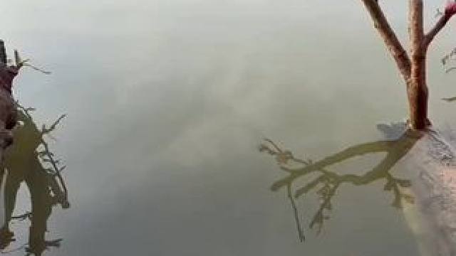 看看下面鱼有多少#钓鱼 #钓鱼人的天堂 #钓鱼人就是这么疯狂 #测试