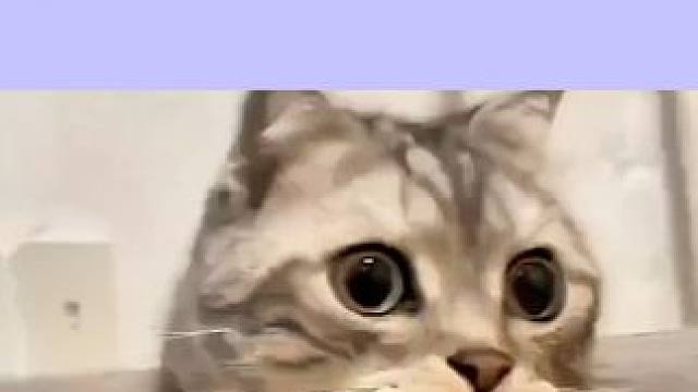 2025情侣必去的五大城市 #津贴