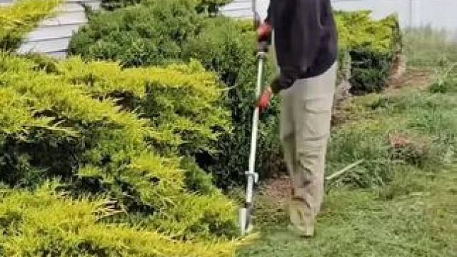 庭院清洗除草解压工作！ #强迫症看了很享受 #解压视频 #极度舒适 #减压视频 #丝滑解压