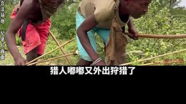 嘟嘟狩猎！ 原始部落