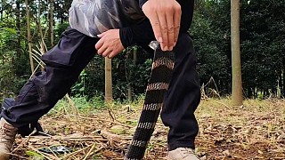 萬蛇之王（眼鏡王蛇）