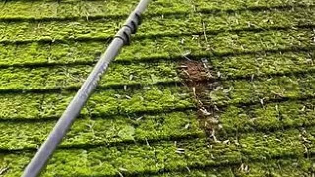 我发布了一个新视频，快来围观吧！