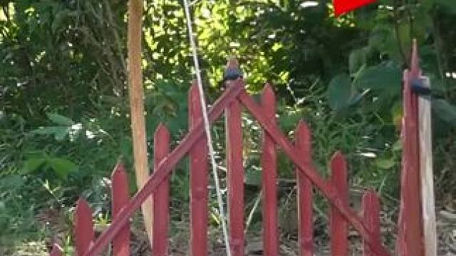 野生动物保护区 #内容启发搜索 #养猪人加油干 #养猪人 #野生动物零距离 #生活的烟火气息