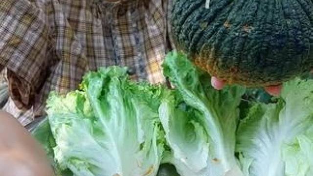 东南亚美食 #泰国美食#内容启发搜索 #生活的烟火气息 #把家乡的味道分享给大家 #舌尖上的美食