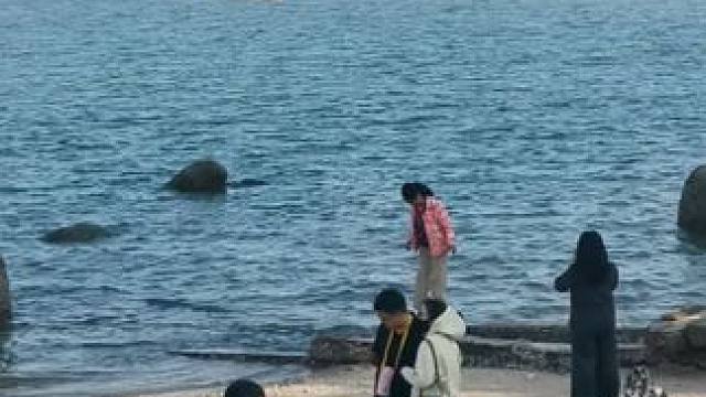 #手机摄影 #闽南语歌曲 #鼓浪屿。