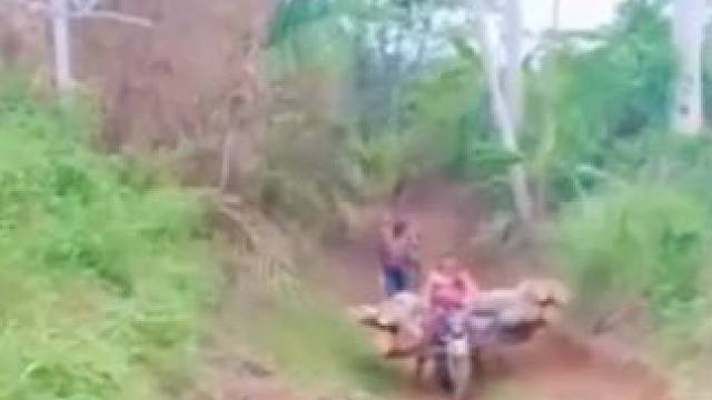 摩托车界的“扛把子” #摩托车