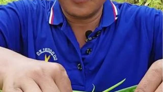 我发布了一个新视频，快来围观吧！