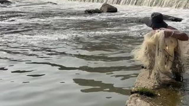 撒网捕鱼#捕鱼#渔民日常#户外捕鱼