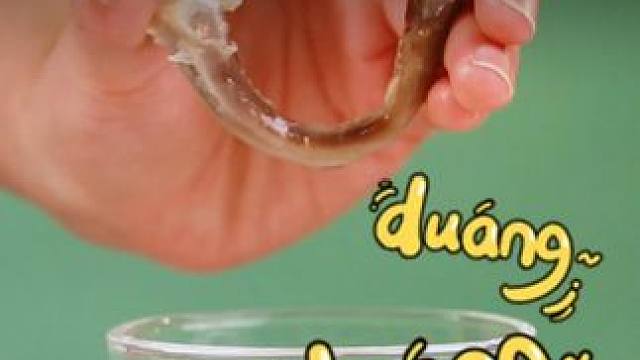 这就是能让孩子放下手机，爱上学习的科学小知识，不仅提升思维还能打下坚实的物理化知识#物理启蒙 #科学