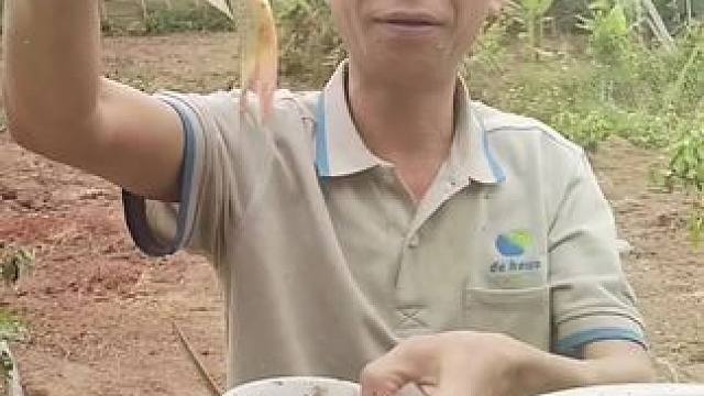 越南生猛鱼生 #越南美食#越南鱼生