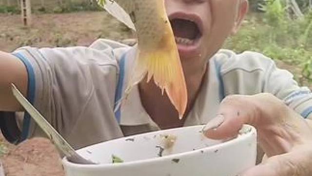 越南鱼生 #把家乡的味道分享给大家 #农村美食记录生活 #舌尖上的美食 #东南亚美食 #爱生活爱美食