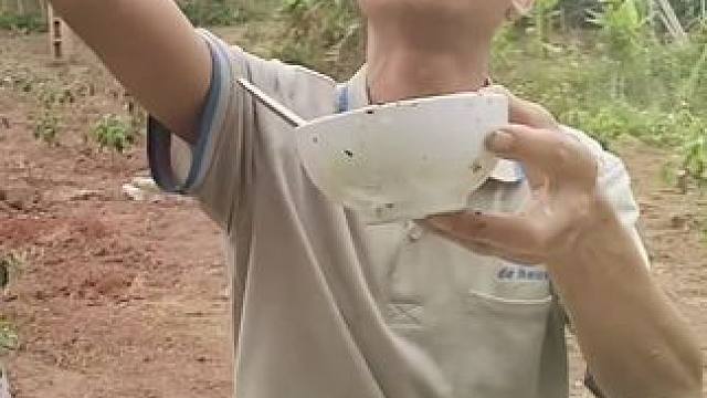 越南特色美食 #越南鱼生#越南美食