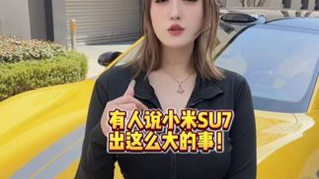 小米车主到底做错了什么？不要说得太过分可以吗？ 可以理性看待吗？作为车主我真的有话要说！#SU7 #